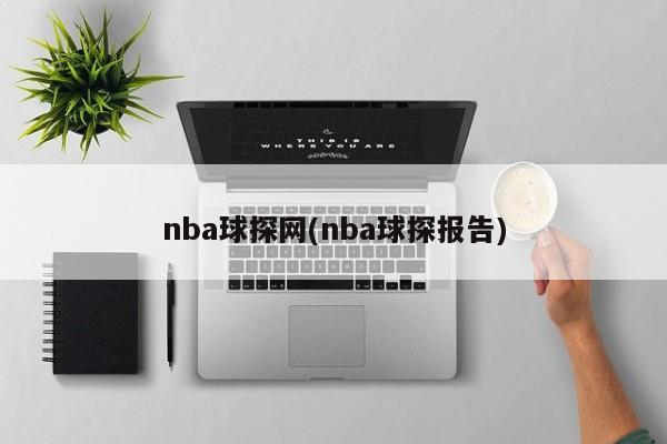 nba球探网(nba球探报告)