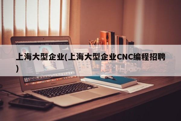 上海大型企业(上海大型企业CNC编程招聘)