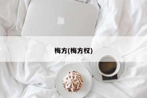 梅方(梅方权)