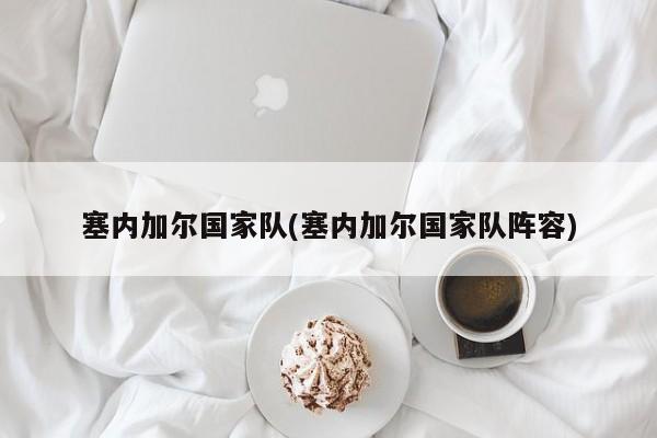 塞内加尔国家队(塞内加尔国家队阵容)