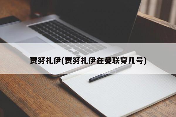贾努扎伊(贾努扎伊在曼联穿几号)