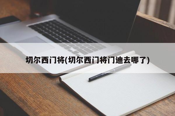 切尔西门将(切尔西门将门迪去哪了)