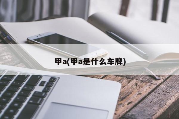 甲a(甲a是什么车牌)