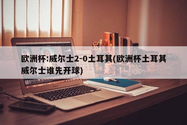 欧洲杯:威尔士2-0土耳其(欧洲杯土耳其威尔士谁先开球)